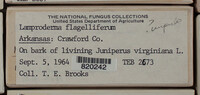 Image Associated With the Occurence